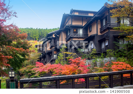 Autumn leaves of Kurokawa Onsen 141900508