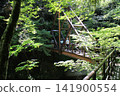 Iwayagyo 141900554