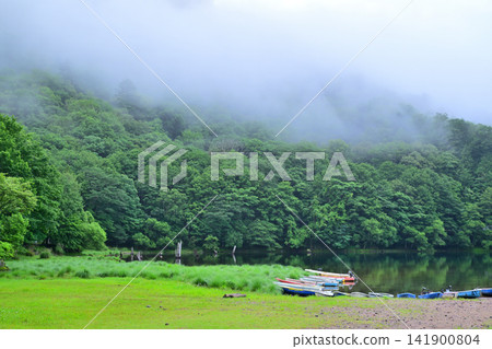 The shores of Lake Marunuma in the early morning mist The shores of Lake Marunuma in the early morning mist 141900804