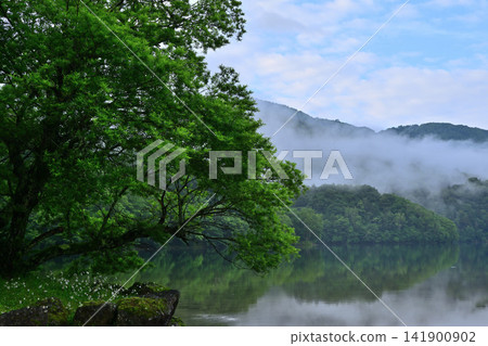 The shores of Lake Marunuma in the early morning mist The shores of Lake Marunuma in the early morning mist 141900902