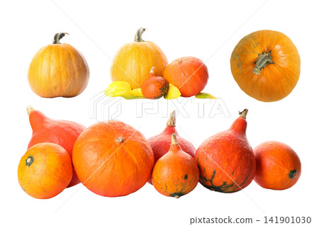 Various pumpkins neatly arranged to highlight seasonal bounty. Harvest concept, PNG Various pumpkins neatly arranged to highlight seasonal bounty. Harvest concept, PNG 141901030