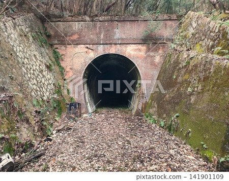 A silent, abandoned brick tunnel standing in the middle of the forest. A silent, abandoned brick tunnel standing in the middle of the forest. 141901109