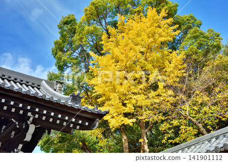 Autumn leaves at Kobe Sorakuen Garden Autumn leaves at Kobe Sorakuen Garden 141901112