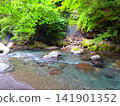 清澈的河水吸引我－小八賀川的夏日景色 141901352