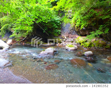 清澈的河水吸引我－小八賀川的夏日景色 141901352