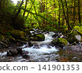 青苔覆蓋的岩石和波光粼粼的水面－小八賀川的夏日景色 141901353
