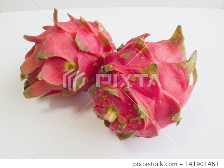 火龍果 | 來自沖繩的熱帶水果 火龍果 | 來自沖繩的熱帶水果 141901461