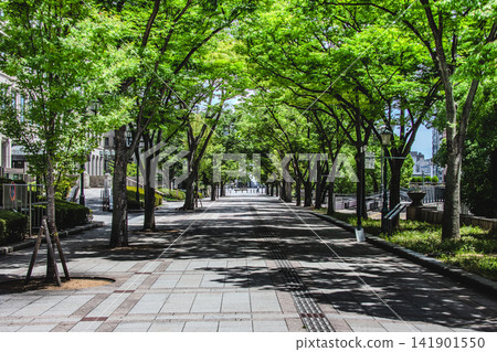 Nakanoshima in midsummer Nakanoshima in midsummer 141901550