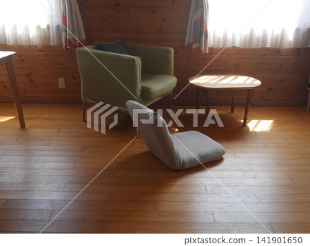 A living room with a single-seater sofa and a floor chair. A living room with a single-seater sofa and a floor chair. 141901650