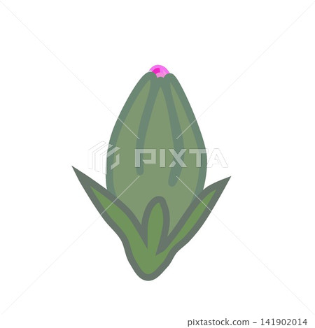 Illustration of a dark pink dianthus. Illustration of a dark pink dianthus. 141902014