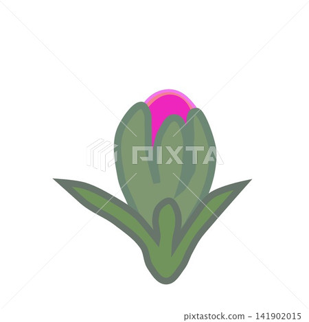 Illustration of a dark pink dianthus. Illustration of a dark pink dianthus. 141902015
