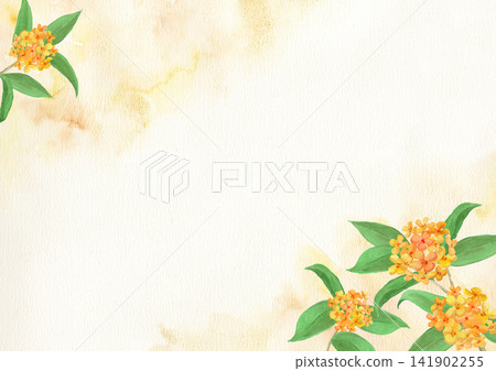 雛菊的水彩插圖 雛菊的水彩插圖 141902255