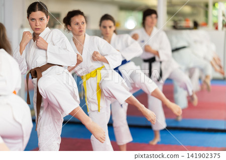 Group of women training karate techniques in studio Group of women training karate techniques in studio 141902375