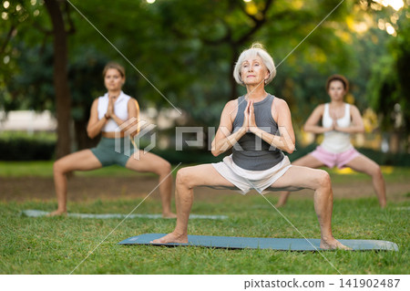 Elderly woman doing yoga in park 141902487