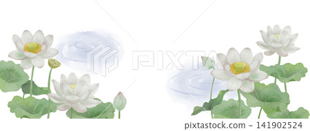 一幅白色蓮花的水彩插圖。 一幅白色蓮花的水彩插圖。 141902524