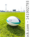 A rugby ball placed on the grass of the court. 141902793