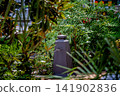 Urban Scene 141902836