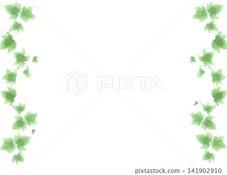 水彩風格的常春藤（Hedera）藤蔓插圖，分為左右兩幅；裝飾性邊框，上面長滿了綠葉。 141902910