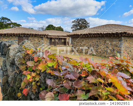 Jeju Traditional Thatched Roof House Structure and Courtyard Jeju Traditional Thatched Roof House Structure and Courtyard 141902951