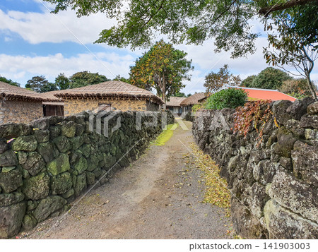 Traditional Jeju Basalt Stone Wall Alley with Thatched Houses and Dirt Path Traditional Jeju Basalt Stone Wall Alley with Thatched Houses and Dirt Path 141903003