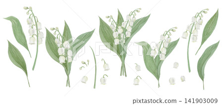 鈴蘭水彩插畫 鈴蘭水彩插畫 141903009