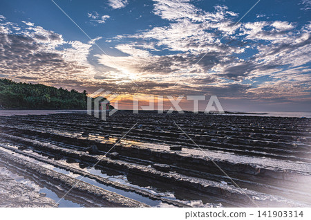 青島海岸的晨光 141903314