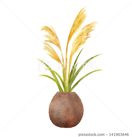 Pampas grass in a vase - Hand-painted watercolor illustration Pampas grass in a vase - Hand-painted watercolor illustration 141903646