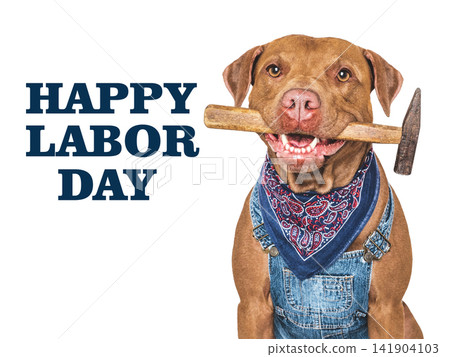 Happy Labor Day. Cute puppy, work overalls and hammer Happy Labor Day. Cute puppy, work overalls and hammer 141904103