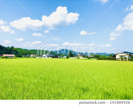 The completed first half of the year, depicted in summer colors. The completed first half of the year, depicted in summer colors. 141904556