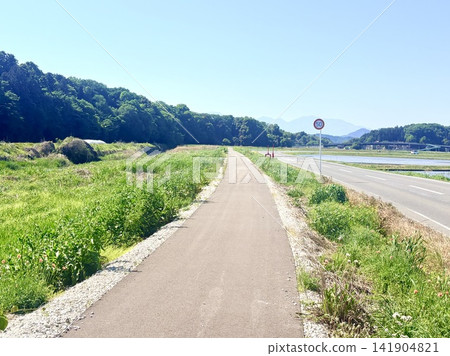 沒有回頭路,沒有後悔,我選擇這條路是因為我不想讓它結束。這是我們的人生。 沒有回頭路,沒有後悔,我選擇這條路是因為我不想讓它結束。這是我們的人生。 141904821