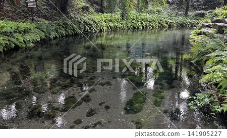 白河泉水 白河泉水 141905227