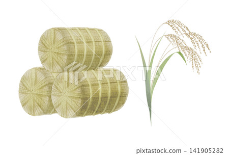 Watercolor illustration of rice bales and rice stalks Watercolor illustration of rice bales and rice stalks 141905282