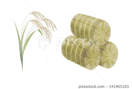 Watercolor illustration of rice bales and rice stalks Watercolor illustration of rice bales and rice stalks 141905283