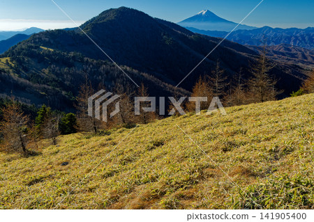 深秋時節,從大菩薩山脈的石丸峠眺望富士山和小金澤山。 深秋時節,從大菩薩山脈的石丸峠眺望富士山和小金澤山。 141905400