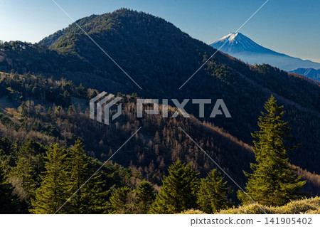 深秋時節,從大菩薩山脈的石丸峠眺望富士山和小金澤山。 深秋時節,從大菩薩山脈的石丸峠眺望富士山和小金澤山。 141905402