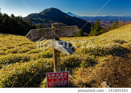 深秋時節,從大菩薩山脈的石丸峠眺望富士山和小金澤山。 深秋時節,從大菩薩山脈的石丸峠眺望富士山和小金澤山。 141905403