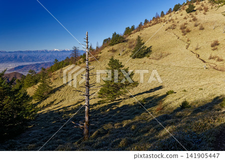 Late autumn in the grasslands of the Daibosatsu mountain range and Ishimaru Pass, and the mountain range of the Southern Alps. Late autumn in the grasslands of the Daibosatsu mountain range and Ishimaru Pass, and the mountain range of the Southern Alps. 141905447