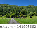 Hida Seseragi Road - Midsummer, Kiyomi-cho, Takayama City, Gifu Prefecture 141905662