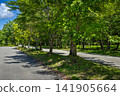 Hida Seseragi Road - Midsummer, Kiyomi-cho, Takayama City, Gifu Prefecture 141905664