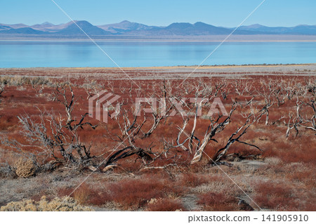 Serene landscape view of dry lake shore in sierra nevada with mountain background showing peaceful scenic nature beauty during clear daytime Serene landscape view of dry lake shore in sierra nevada with mountain background showing peaceful scenic nature beauty during clear daytime 141905910