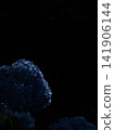 Premium-quality blue hydrangea wallpaper with a dreamy vertical composition. Premium-quality blue hydrangea wallpaper with a dreamy vertical composition. 141906144