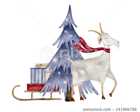 Watercolor illustration of goat with scarf next to blue Christmas tree and sled with gifts gift boxes wrapped in striped blue, dotted red paper. Composition for holiday cards, banners, invitations Watercolor illustration of goat with scarf next to blue Christmas tree and sled with gifts gift boxes wrapped in striped blue, dotted red paper. Composition for holiday cards, banners, invitations 141906786
