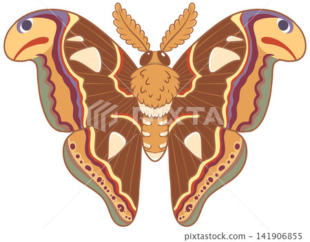 Majestic atlas moth illustration showing snake head wing tips pattern Majestic atlas moth illustration showing snake head wing tips pattern 141906855