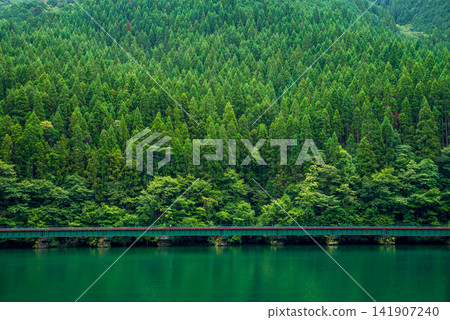 The beautiful coniferous forest surrounding Shimohara Dam Lake and the JR Takayama Line railway bridge. The beautiful coniferous forest surrounding Shimohara Dam Lake and the JR Takayama Line railway bridge. 141907240