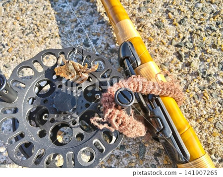 Crab bait that was nibbled on by a pufferfish while fishing with a pier. Crab bait that was nibbled on by a pufferfish while fishing with a pier. 141907265
