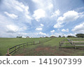 A summer pasture landscape with a blue sky. 141907399