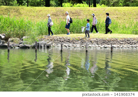 People crossing stepping stones on the Old Nakagawa River in Edogawa Ward. People crossing stepping stones on the Old Nakagawa River in Edogawa Ward. 141908374