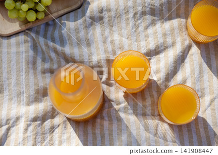 Glasses of Orange Juice and Glass Carafe on Striped Picnic Blanket in Sunny Summer Garden Glasses of Orange Juice and Glass Carafe on Striped Picnic Blanket in Sunny Summer Garden 141908447