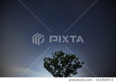 寂靜的夜空中繁星閃爍,樹木的輪廓清晰可見。 寂靜的夜空中繁星閃爍,樹木的輪廓清晰可見。 141908453