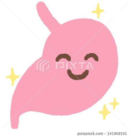 Illustration of a healthy stomach Illustration of a healthy stomach 141908591
